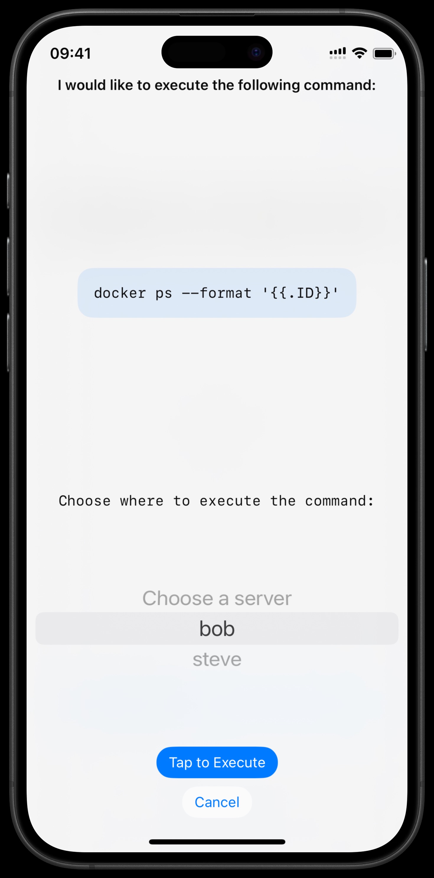 AI command execution confirmation