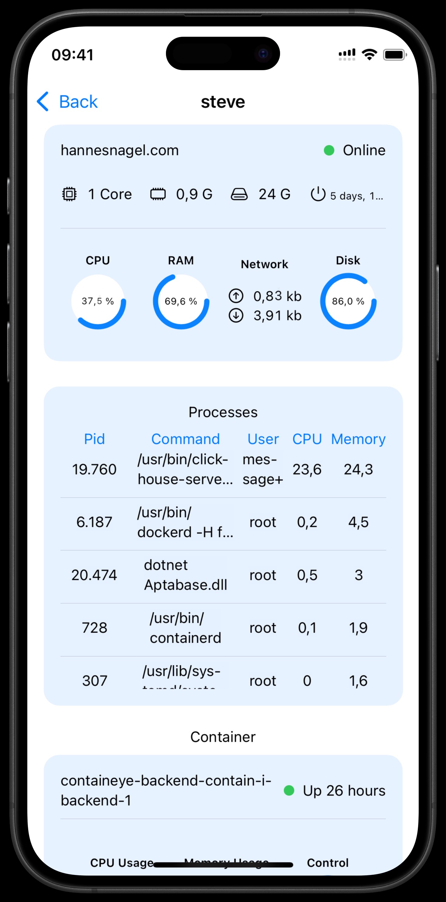 Server details showing processes and containers