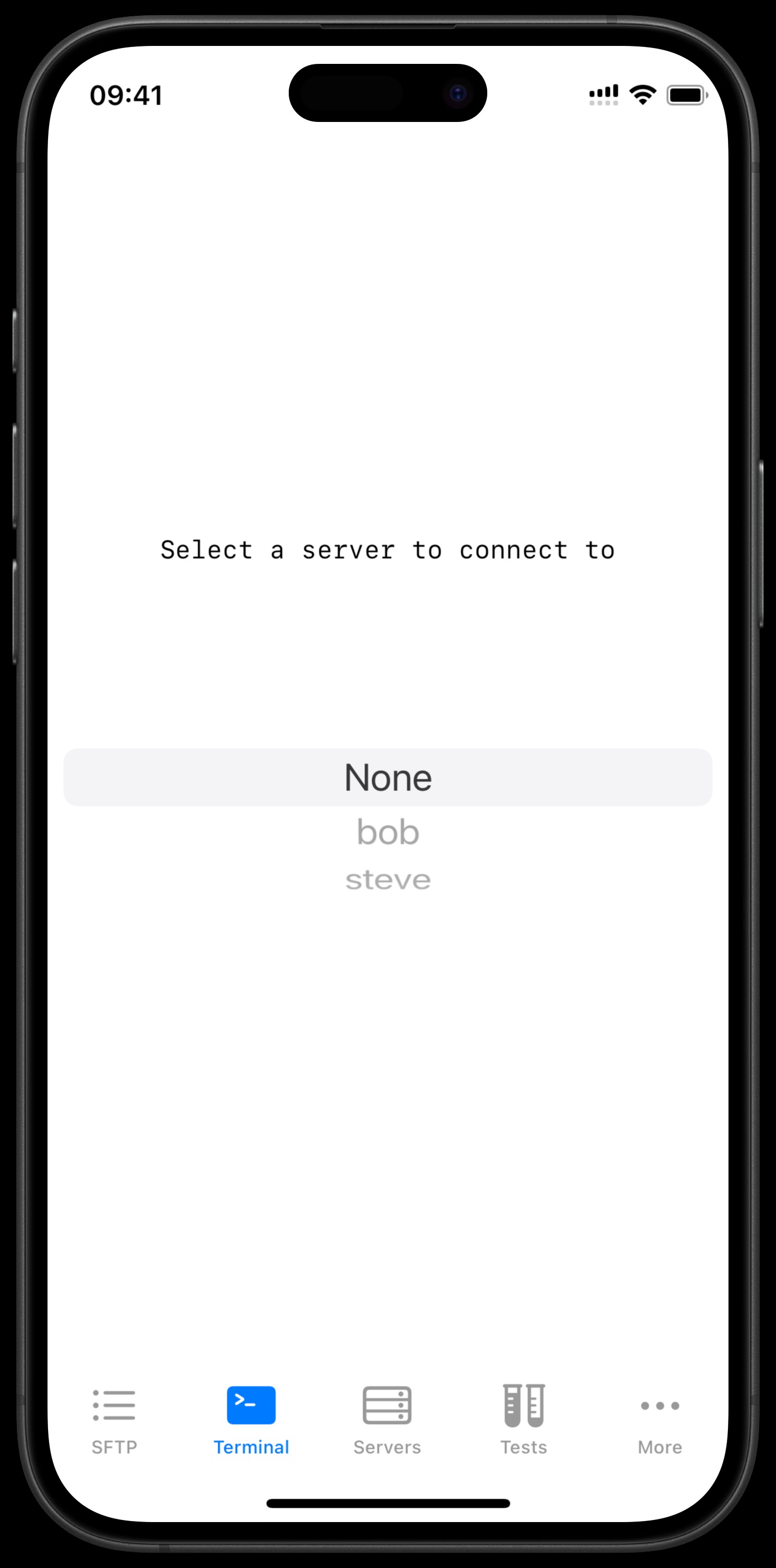 Server selection interface